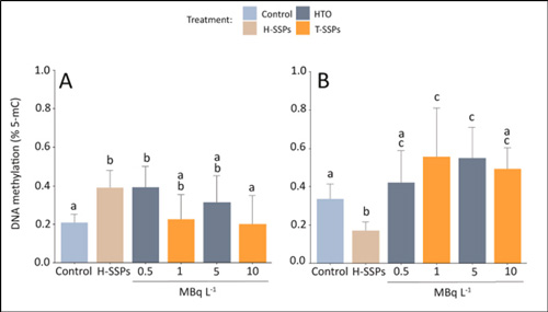 Global DNA Methylation Reveals Hidden Effects of Radioactive Tritium Exposure in Marine Mussels