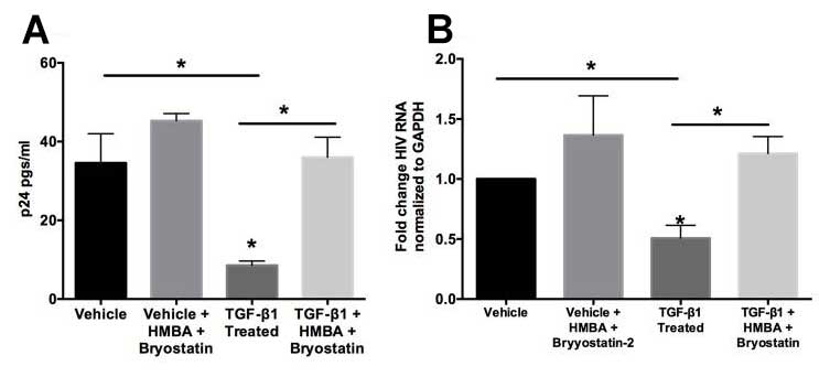 Increase in TGF-β1 Can Lead to HIV Latency in Bronchial Cells