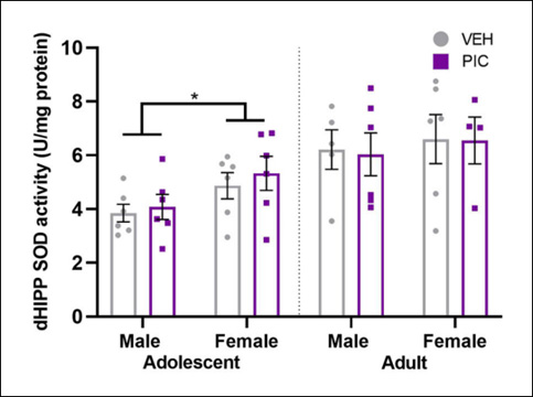 Oxidative Damage After Immune Activation in Mothers May Affect Offspring Brain Health