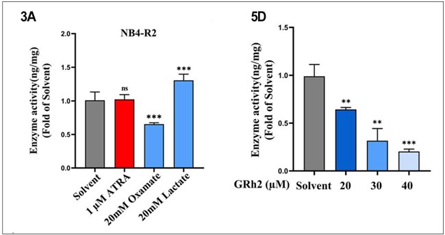 Exploring RNA Methylation in Cancer: Study Reveals Natural Compound Epigenetically Enhances Treatment Efficacy