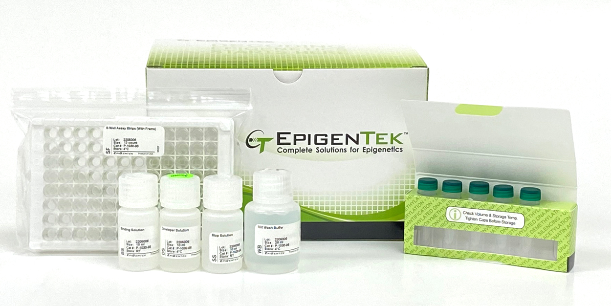 Differences between LINE-1, ELISA, Other Global DNA Methylation Measurement Methods