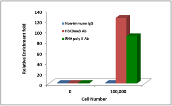 Exploring Chromatin Dynamics Using CUT&RUN