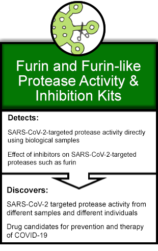 EpiGentek SARS-CoV-2 Proprotein Convertase Inhibition Kits