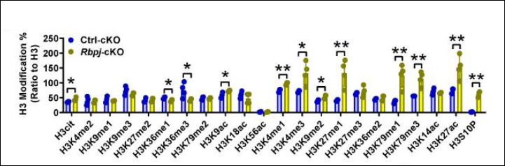 Fasting-Induced Histone Changes Restore T Cell Function Against Liver Cancer
