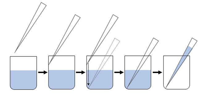 Tips on using Global DNA Methylation ELISAs