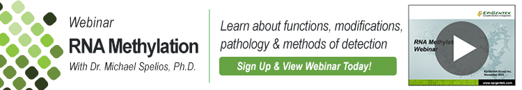 RNA Methylation Webinar