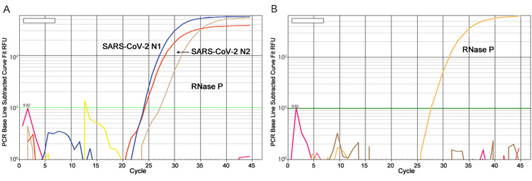 Protocol for Ultracentrifugal RNA Virus Purification