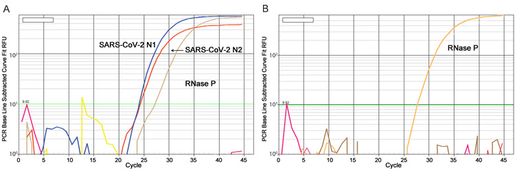 Protocol for Ultracentrifugal RNA Virus Purification