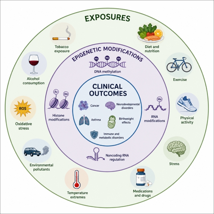 The Exposome and DNA Methylation: Epigenetic Signals from Environmental Stress