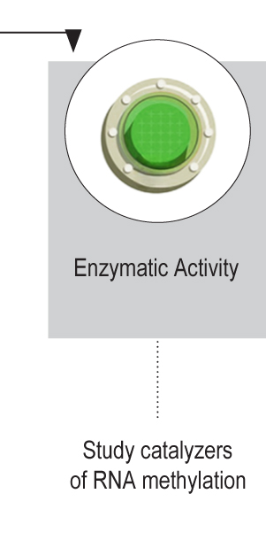 Enzyme Activity/Inhibition ELISAs
