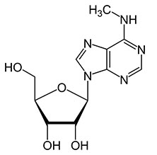 m6A n6-methyladenosine structure