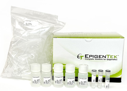 BisulFlash DNA Modification Kit