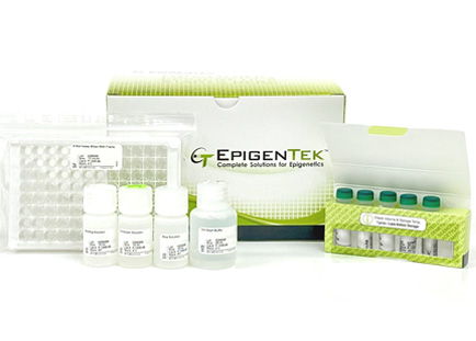 MethylFlash Global DNA Methylation (5-mC) ELISA Easy Kit