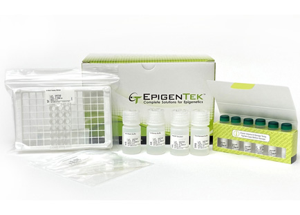 EpiQuik Hydroxymethylated DNA Immunoprecipitation (hMeDIP) Kit