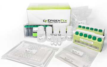 chip seq kit