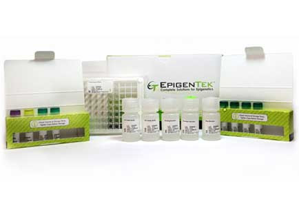 Epigenase 5mC-Hydroxylase TET Activity/Inhibition Assay Kits