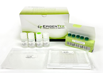 EpiQuik DNMT Activity/Inhibition ELISA Easy Kit