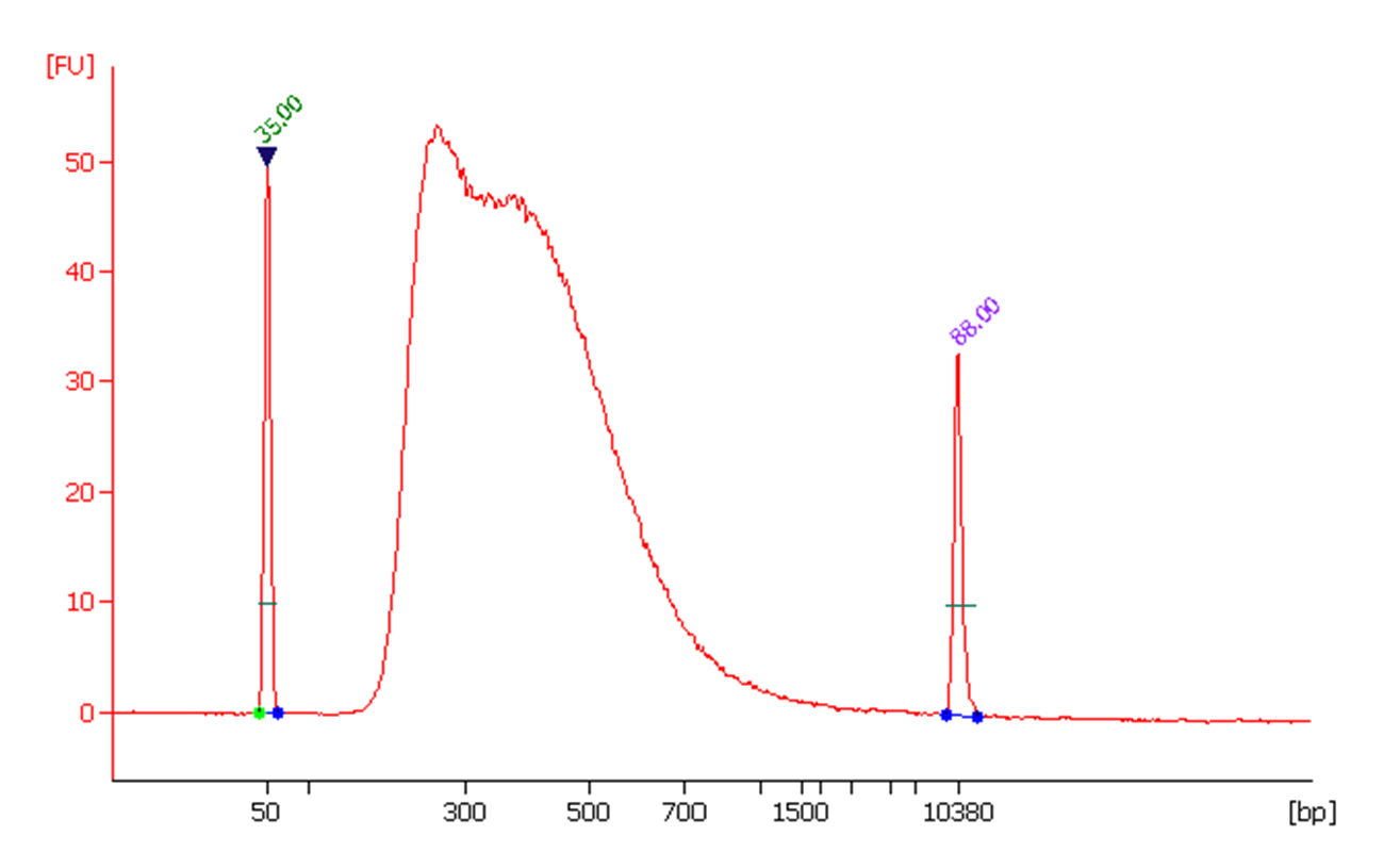 Scientists Establish a Genome-Wide Map of HIF1α Binding Sites in the Eye Lens Using CUT&RUN