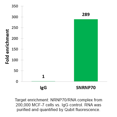 Bar chart showing target enrichment of SNRNP70/RNA complex versus IgG control in 200,000 MCF-7 cells. SNRNP70 shows a fluorescence value of 289 compared to 1 for IgG, quantified by Qubit fluorescence.