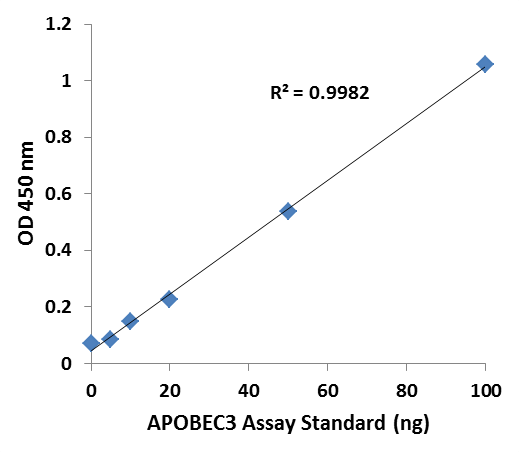 APOBEC3 Cytidine Deaminases: Viral Restriction and Cancer Therapy