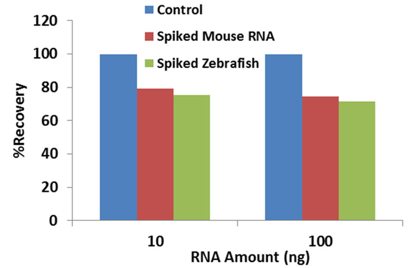 RNA Preparation: Tools for Extracting RNA