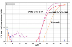 How to Ensure Max Yield & Purity in RNA Extraction