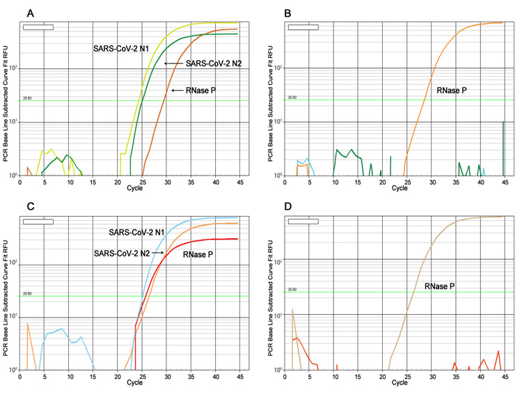 Methods of Virus Purification