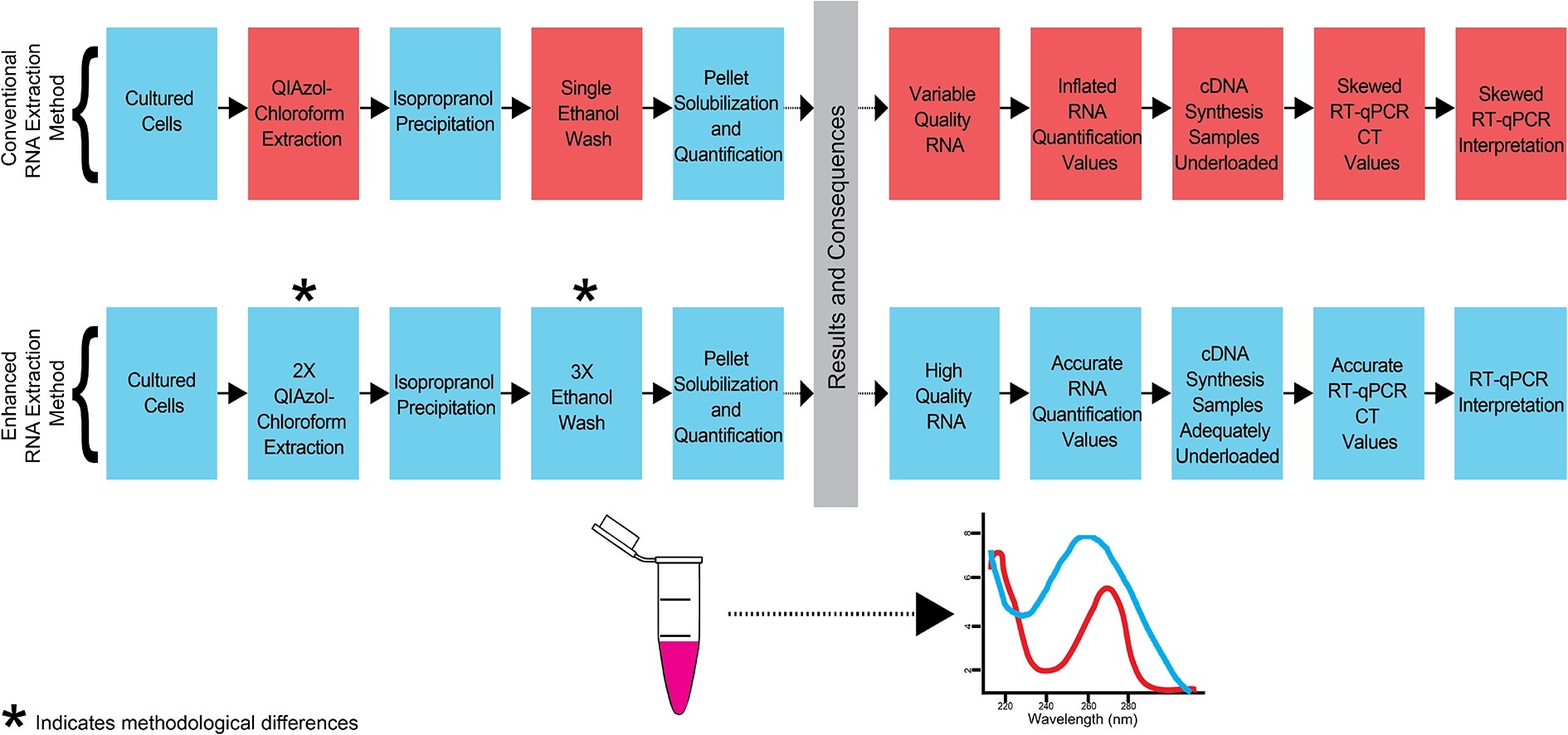 Dna Extraction Using Phenol Chloroform