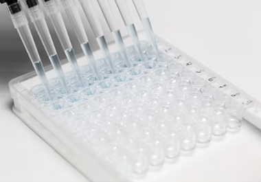 m6A ELISA: The Comprehensive Guide to Quantifying RNA Methylation