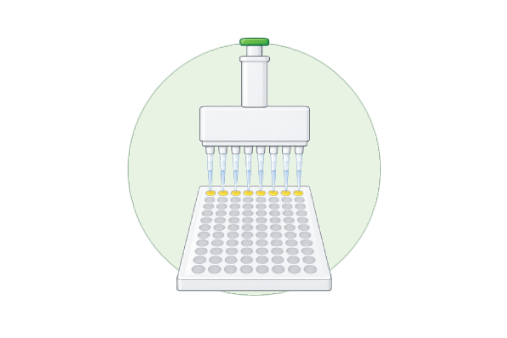 Familiar microplate ELISA workflow