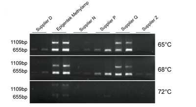 Methylamp DNA Modification Kit