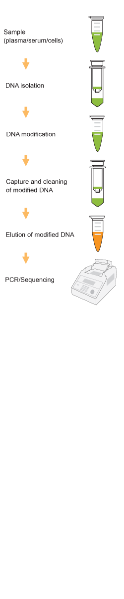 Methylamp Coupled DNA Isolation & Modification Kit