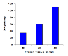 FitAmp General Tissue Section DNA Isolation Kit