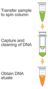 DNA Concentrator Kit