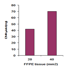 FitAmp Paraffin Tissue Section DNA Isolation Kit