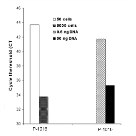 Methylamp Whole Cell Bisulfite Modification Kit