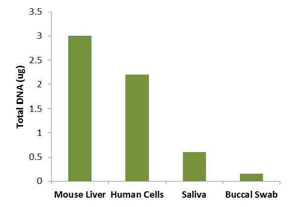 EpiMag High Throughput DNA Isolation Universal Kit