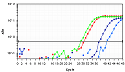 Methylamp MS-qPCR Fast Kit