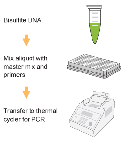 EpiQuik Quantitative PCR Fast Kit