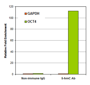 EpiQuik Hydroxymethylated DNA Immunoprecipitation (hMeDIP) Kit