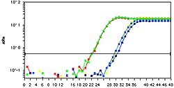 EpiQuik Chromatin Accessibility Assay Kit