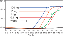 BisulFlash DNA Bisulfite Conversion Mag-96 Kit