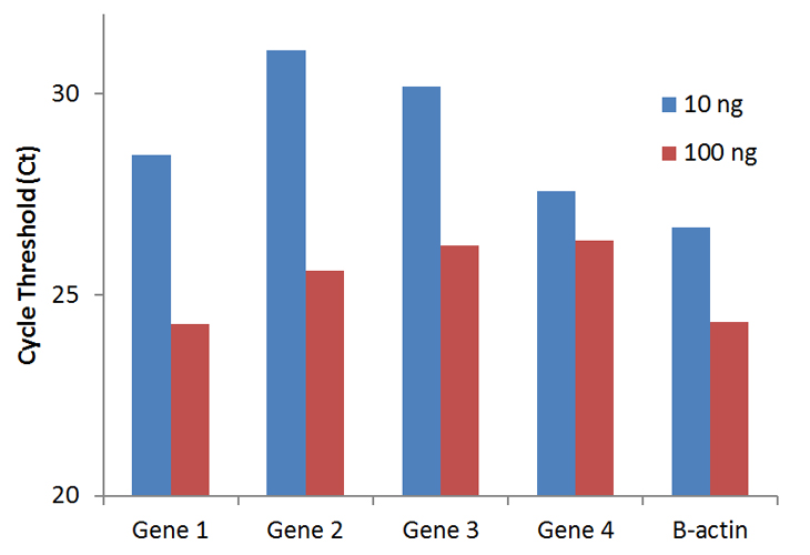 BisulFlash DNA Bisulfite Conversion Easy Kit