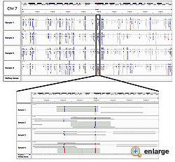 EpiNext Post-Bisulfite DNA Library Preparation Kit (Illumina)