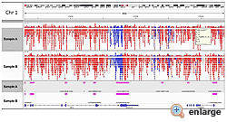 EpiNext High-Sensitivity Bisulfite-Seq Kit (Illumina)