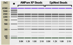 EpiNext DNA Purification HT System