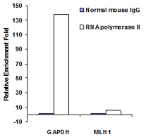 ChromaFlash Chromatin Extraction Kit