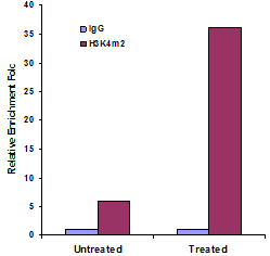 EpiQuik Methyl-Histone H3K4 ChIP Kit