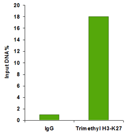 ChromaFlash Plant Chromatin Extraction Kit