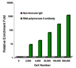 EpiNext ChIP-Seq High-Sensitivity Kit (Illumina)